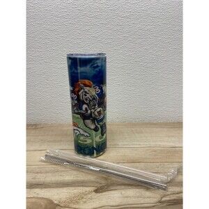 Zonegrace Stainless Steel Skinny Tumbler 20oz Denver Broncos With Lid New